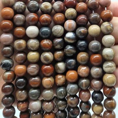 Agate fossile